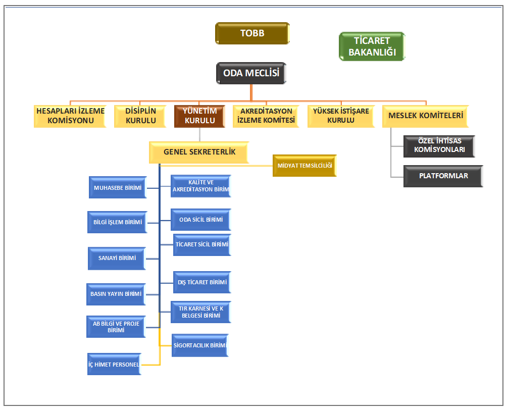 organizasyon şemasi